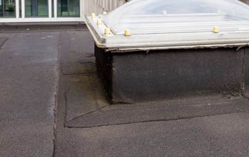 disadvantages of Coulter flat roofs