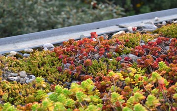 the cost of Coulter green roof installation