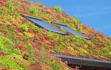 Coulter living roof systems